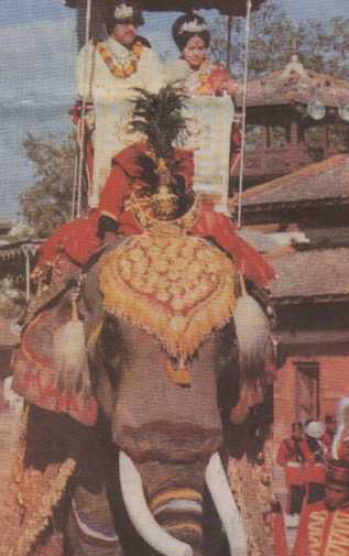 biren4